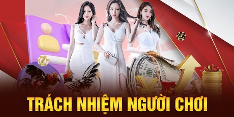 Những điều cần làm để đảm bảo tuân thủ các quy định